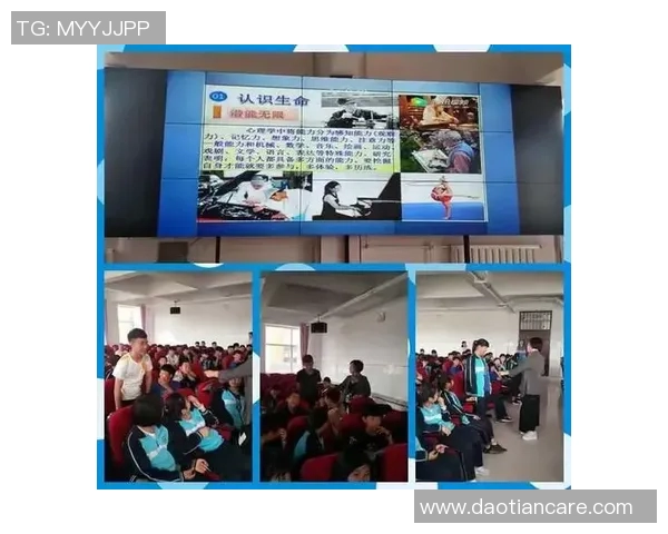 深度对话王芳的网球人生与梦想追逐的精彩旅程