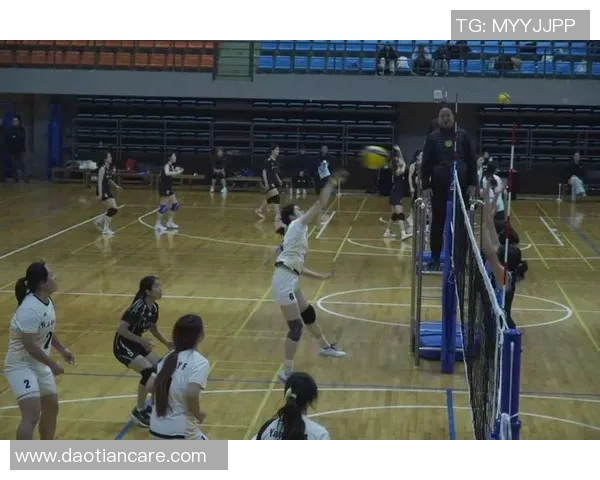 成都排球队在排球意识排行榜中荣获第二名展现出强大团队实力与战术素养 成都排球队在排球意识排行榜中荣获第二名展现出强大团队实力与战术素养