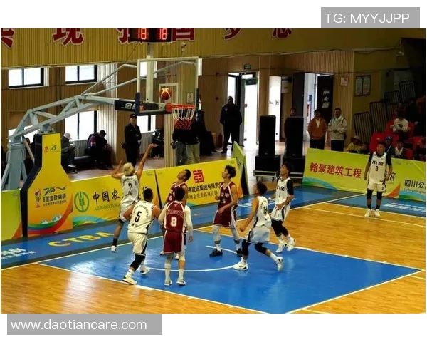 成都篮球队荣登全国篮球配合排行榜第二名展现团队实力与默契 成都篮球队荣登全国篮球配合排行榜第二名展现团队实力与默契