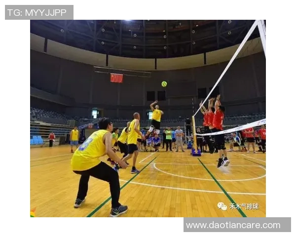 科学排球训练法揭秘提升实力的有效策略与技巧分享 科学排球训练法揭秘提升实力的有效策略与技巧分享