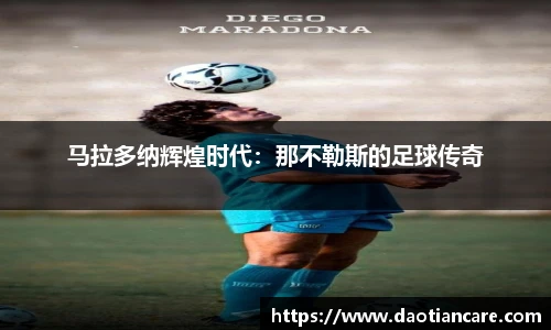 333体育官网