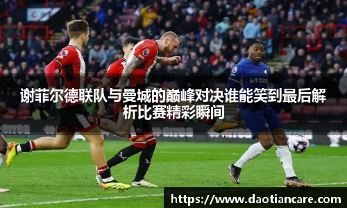 333体育官网