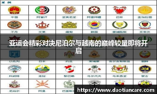 333体育官网