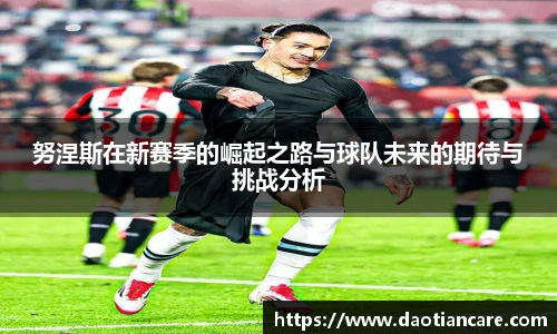 333体育官网